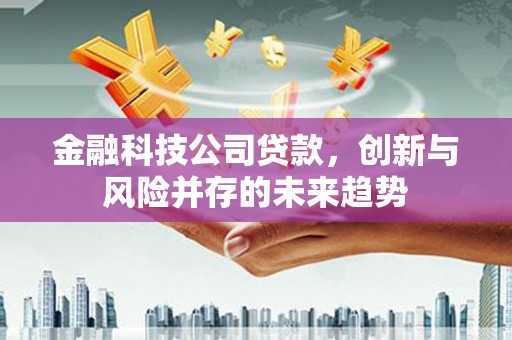 宁明金融科技公司贷款，创新与风险并存的未来趋势