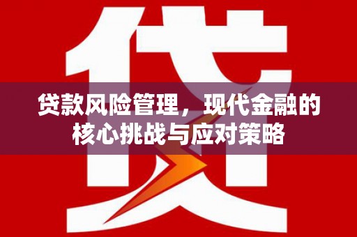 宁明贷款风险管理，现代金融的核心挑战与应对策略