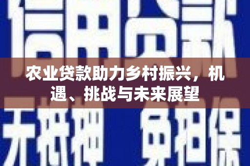 宁明农业贷款助力乡村振兴，机遇、挑战与未来展望