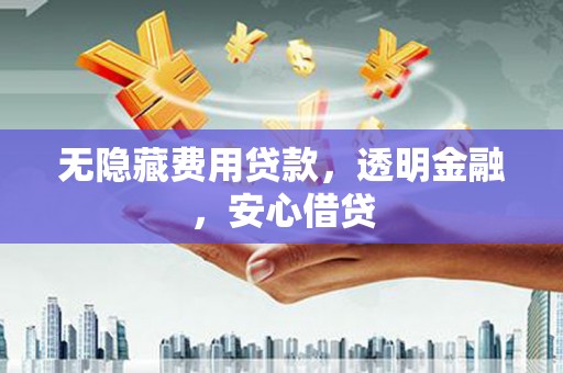 宁明无隐藏费用贷款，透明金融，安心借贷