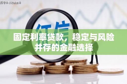 宁明固定利率贷款，稳定与风险并存的金融选择