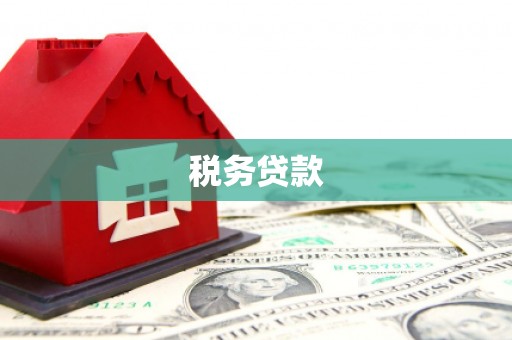 宁明税务贷款