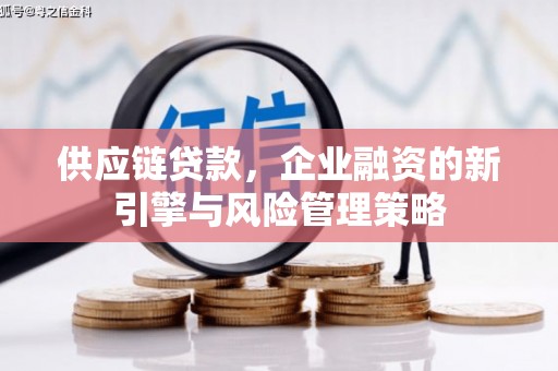 宁明供应链贷款，企业融资的新引擎与风险管理策略