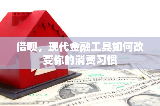 宁明借呗，现代金融工具如何改变你的消费习惯