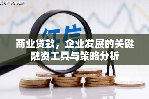 宁明商业贷款，企业发展的关键融资工具与策略分析