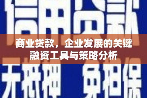 宁明商业贷款，企业发展的关键融资工具与策略分析