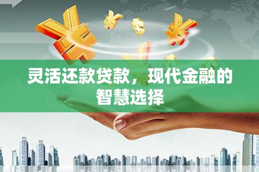 宁明灵活还款贷款，现代金融的智慧选择
