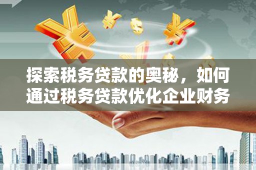 宁明探索税务贷款的奥秘，如何通过税务贷款优化企业财务