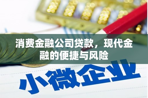 宁明消费金融公司贷款，现代金融的便捷与风险
