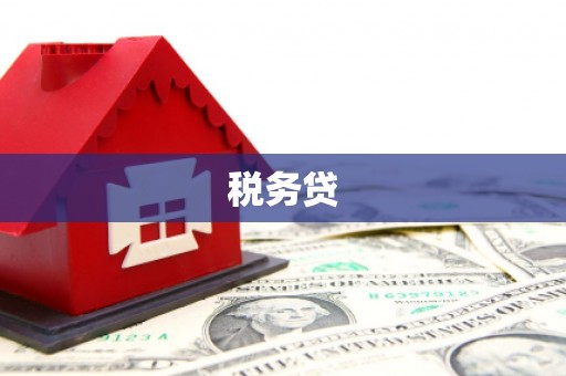 宁明税务贷