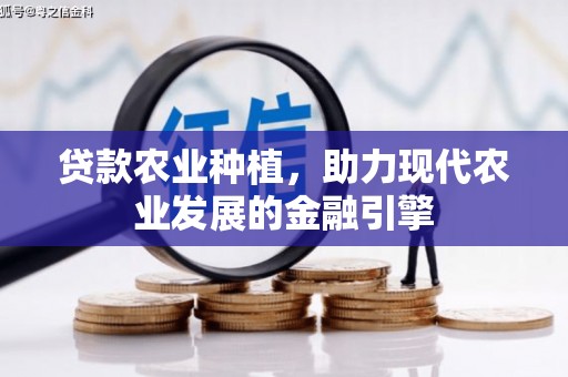 宁明贷款农业种植，助力现代农业发展的金融引擎
