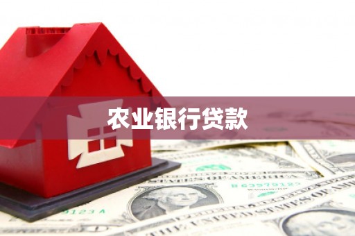 宁明农业银行贷款