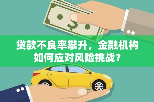 宁明贷款不良率攀升，金融机构如何应对风险挑战？