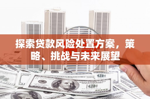 宁明探索贷款风险处置方案，策略、挑战与未来展望