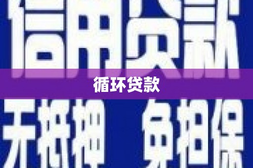 宁明循环贷款