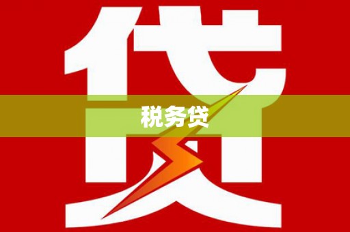 宁明税务贷
