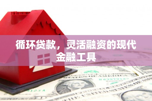 宁明循环贷款，灵活融资的现代金融工具