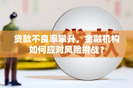 宁明贷款不良率攀升，金融机构如何应对风险挑战？
