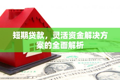 宁明短期贷款，灵活资金解决方案的全面解析