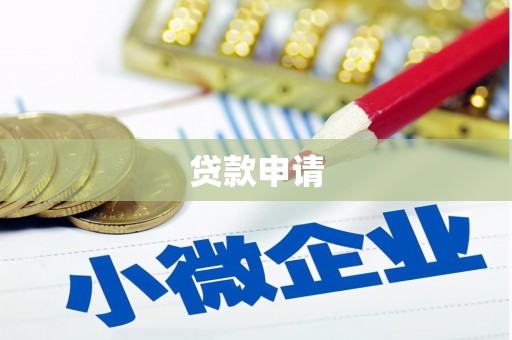 宁明贷款申请