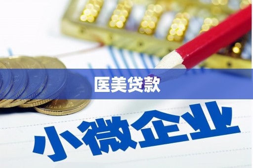 宁明医美贷款