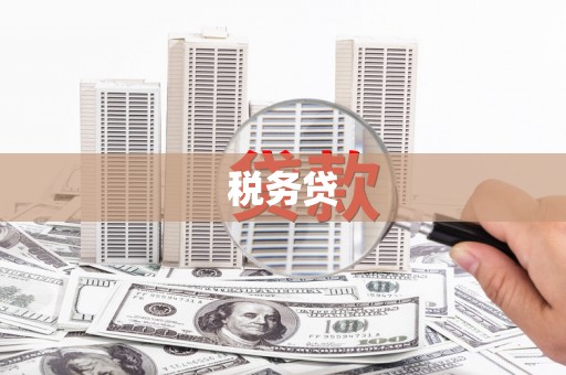 宁明税务贷