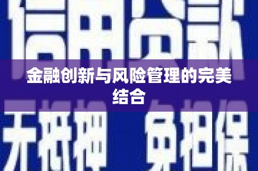 宁明金融创新与风险管理的完美结合