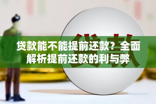 宁明贷款能不能提前还款？全面解析提前还款的利与弊
