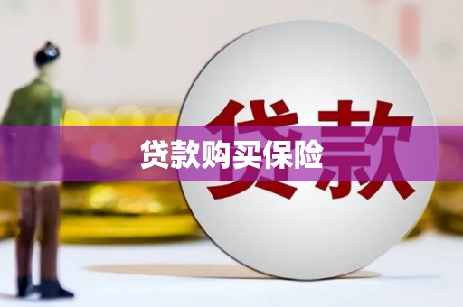 宁明贷款购买保险