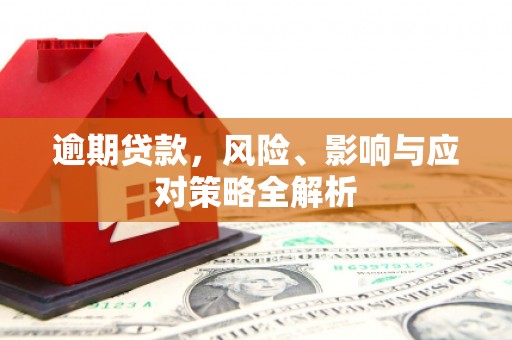 宁明逾期贷款，风险、影响与应对策略全解析