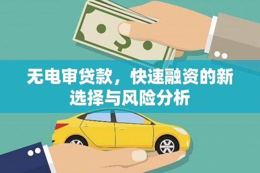 宁明无电审贷款，快速融资的新选择与风险分析