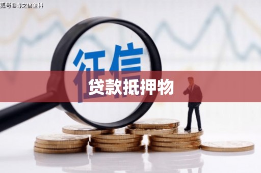 宁明贷款抵押物