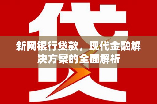 宁明新网银行贷款，现代金融解决方案的全面解析