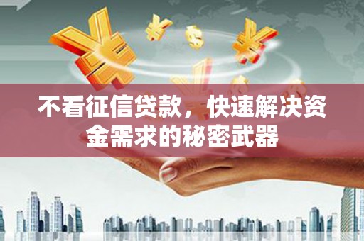宁明不看征信贷款，快速解决资金需求的秘密武器