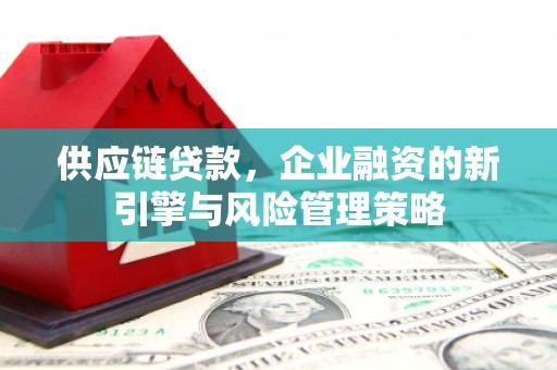 宁明供应链贷款，企业融资的新引擎与风险管理策略