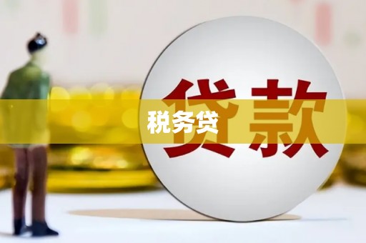宁明税务贷