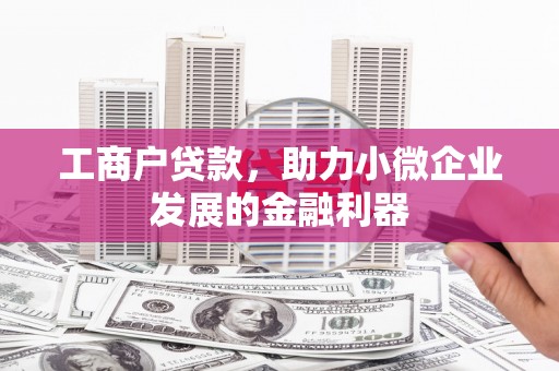 宁明工商户贷款，助力小微企业发展的金融利器