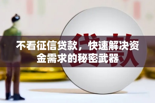 宁明不看征信贷款，快速解决资金需求的秘密武器