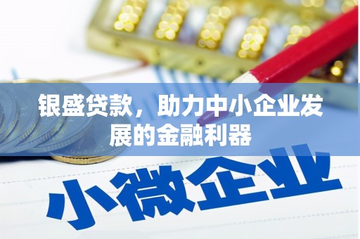 宁明银盛贷款，助力中小企业发展的金融利器