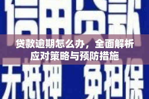 宁明贷款逾期怎么办，全面解析应对策略与预防措施