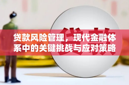 宁明贷款风险管理，现代金融体系中的关键挑战与应对策略