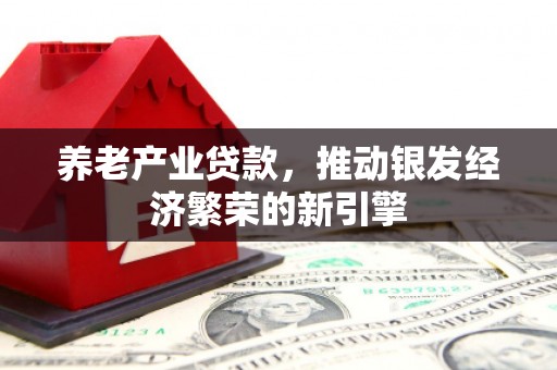 宁明养老产业贷款，推动银发经济繁荣的新引擎