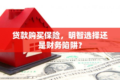 宁明贷款购买保险，明智选择还是财务陷阱？