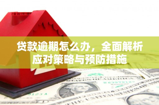 宁明贷款逾期怎么办，全面解析应对策略与预防措施