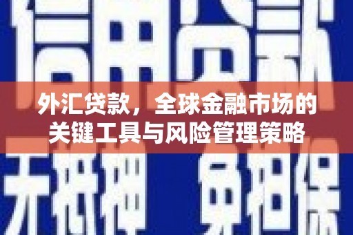 宁明外汇贷款，全球金融市场的关键工具与风险管理策略