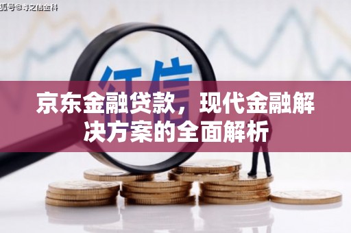 宁明京东金融贷款，现代金融解决方案的全面解析