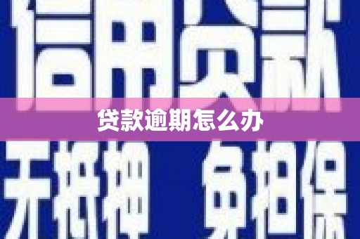 宁明贷款逾期怎么办