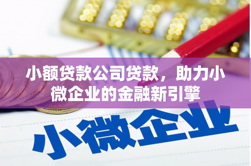 宁明小额贷款公司贷款，助力小微企业的金融新引擎