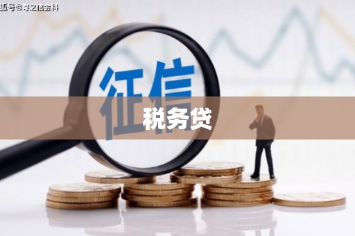 宁明税务贷