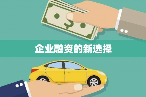 宁明企业融资的新选择